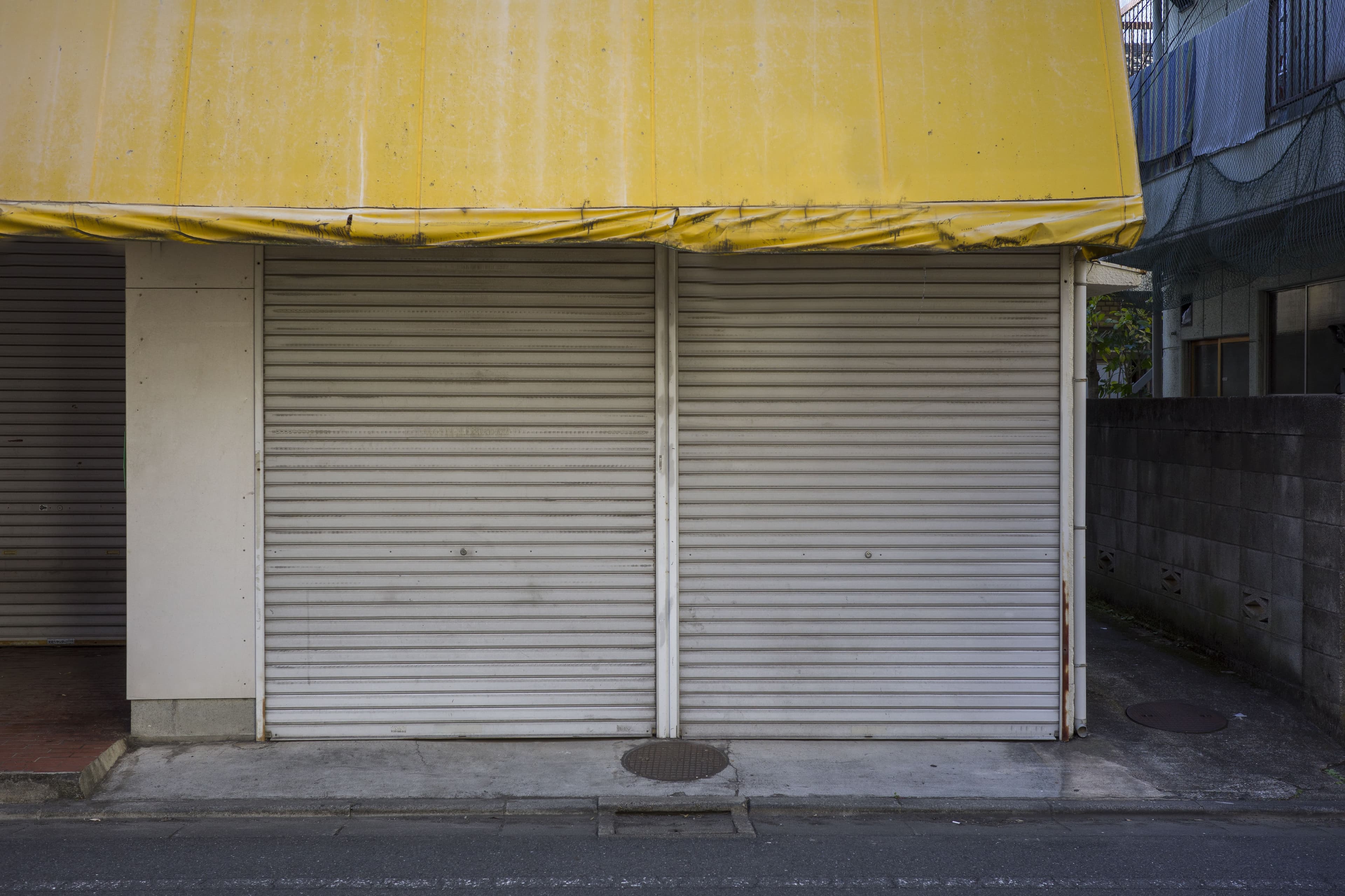 Garage Door 3